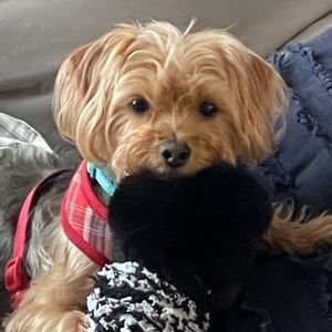 Meet your Posher, Jason